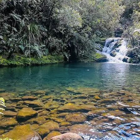 Coromandel Secluded Log Cabin Retreat Hikuai Екстер'єр фото