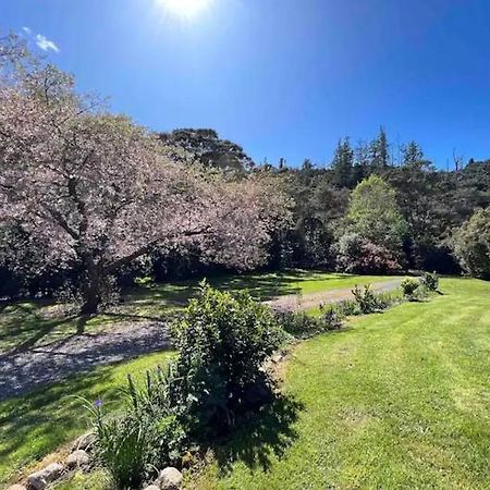 Coromandel Secluded Log Cabin Retreat Hikuai Екстер'єр фото