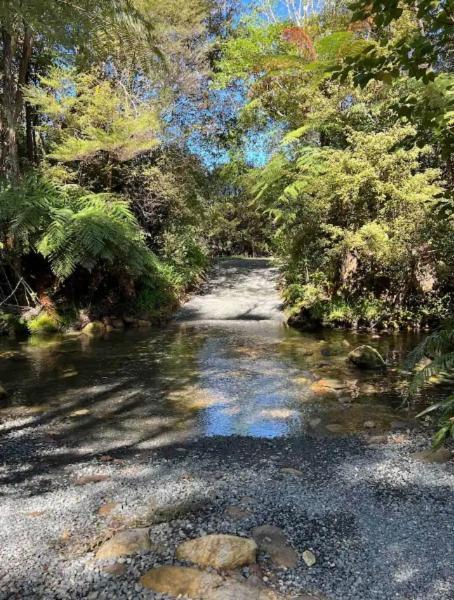 Coromandel Secluded Log Cabin Retreat Hikuai Екстер'єр фото