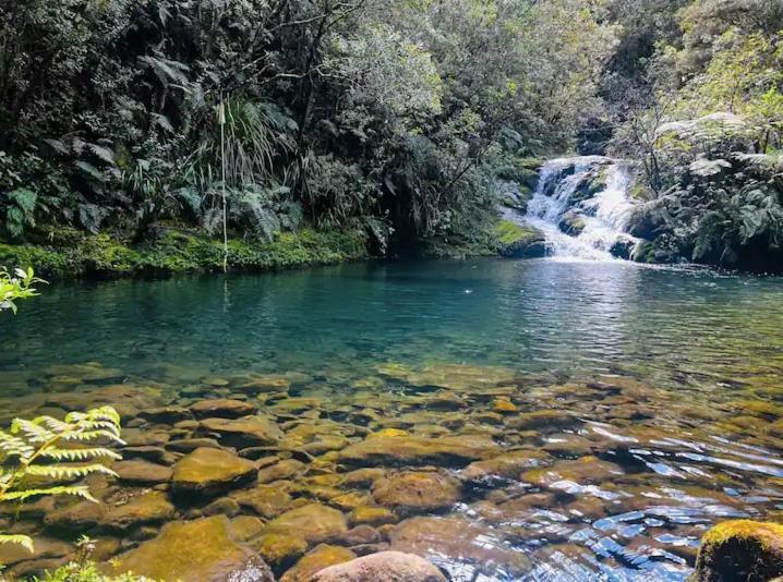 Coromandel Secluded Log Cabin Retreat Hikuai Екстер'єр фото