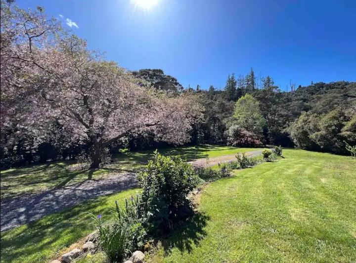 Coromandel Secluded Log Cabin Retreat Hikuai Екстер'єр фото